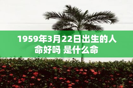1959年3月22日出生的人命好吗 是什么命
