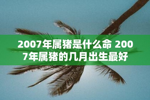 2007年属猪是什么命 2007年属猪的几月出生最好