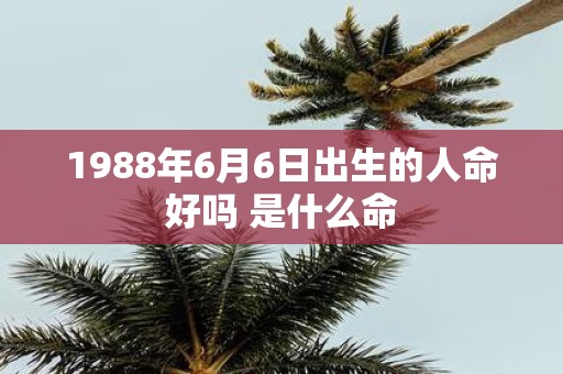 1988年6月6日出生的人命好吗 是什么命