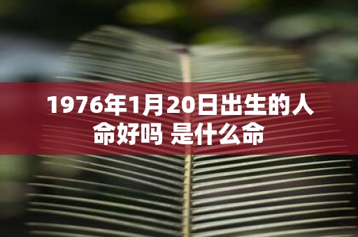 1976年1月20日出生的人命好吗 是什么命