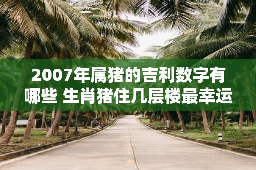 2007年属猪的吉利数字有哪些 生肖猪住几层楼最幸运