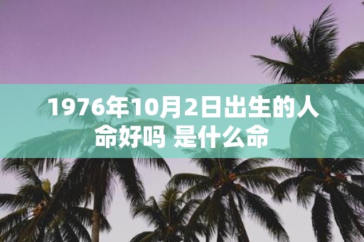 1976年10月2日出生的人命好吗 是什么命