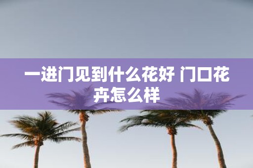 一进门见到什么花好 门口花卉怎么样