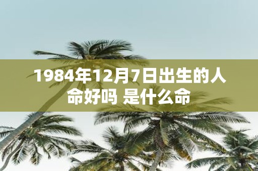 1984年12月7日出生的人命好吗 是什么命