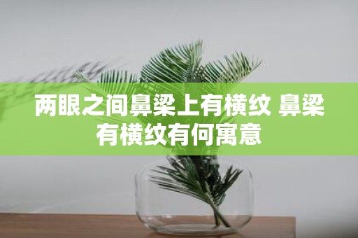 两眼之间鼻梁上有横纹 鼻梁有横纹有何寓意