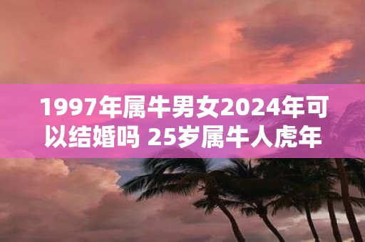 1997年属牛男女2025年可以结婚吗 25岁属牛人虎年结婚要注意什么