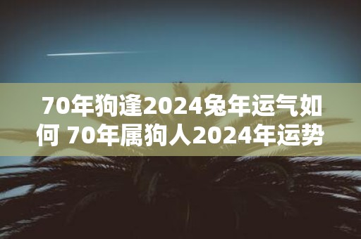 70年狗逢2025蛇年运气如何 70年属狗人2025年运势好不好