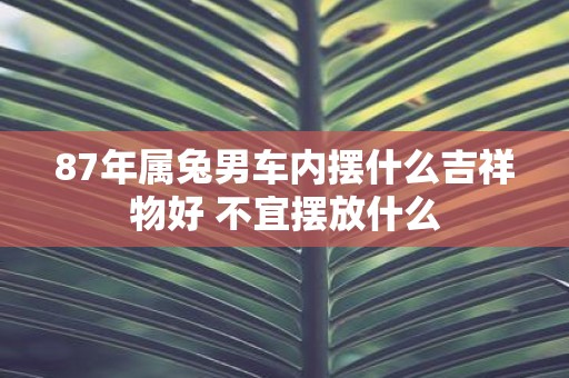 87年属兔男车内摆什么吉祥物好 不宜摆放什么