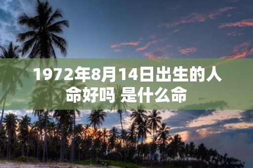 1972年8月14日出生的人命好吗 是什么命