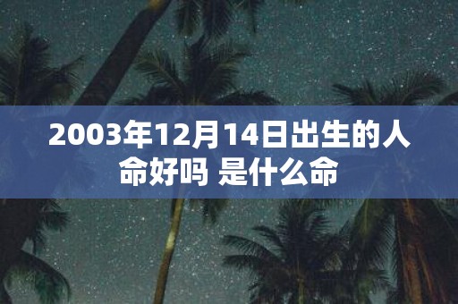2003年12月14日出生的人命好吗 是什么命