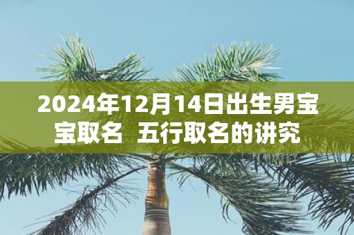 2025年12月14日出生男宝宝取名 五行取名的讲究