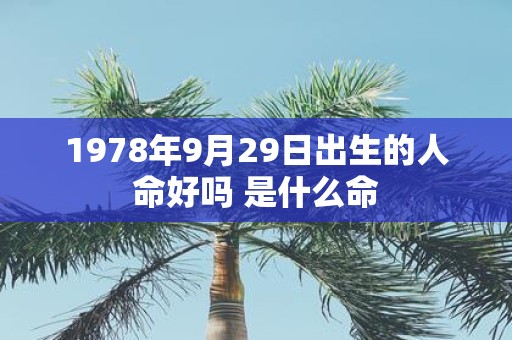 1978年9月29日出生的人命好吗 是什么命