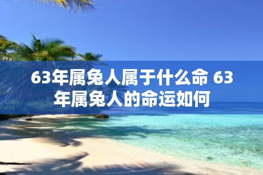 63年属兔人属于什么命 63年属兔人的命运如何