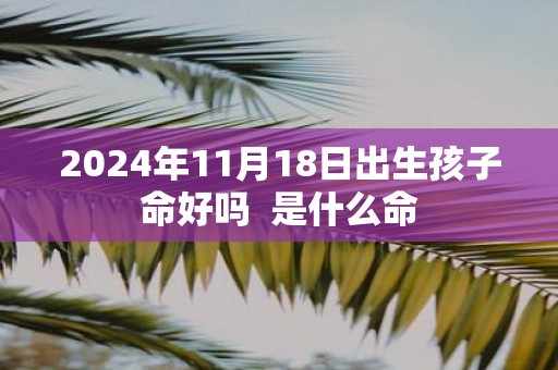 2025年11月18日出生孩子命好吗 是什么命