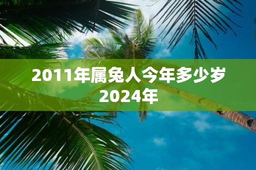2011年属兔人今年多少岁2025年