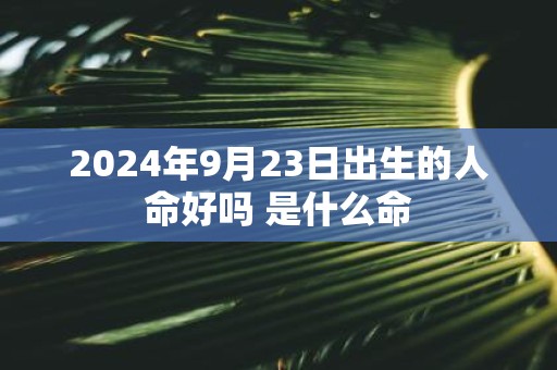 2025年9月23日出生的人命好吗 是什么命