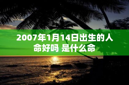 2007年1月14日出生的人命好吗 是什么命