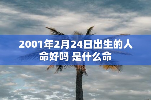 2001年2月24日出生的人命好吗 是什么命