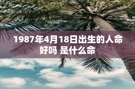 1987年4月18日出生的人命好吗 是什么命