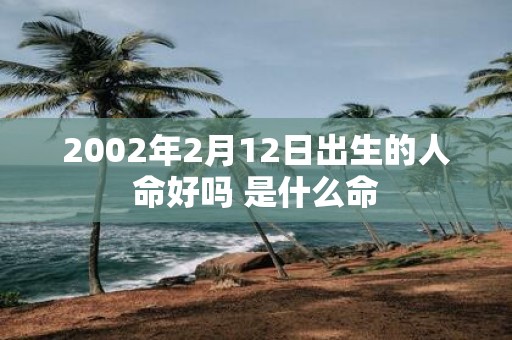 2002年2月12日出生的人命好吗 是什么命