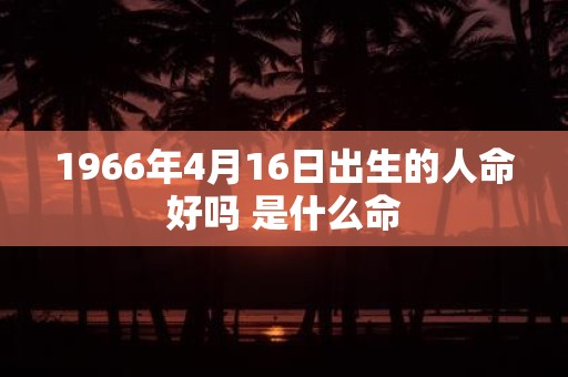 1966年4月16日出生的人命好吗 是什么命