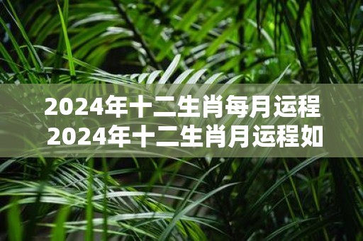 2025年十二生肖每月运程 2025年十二生肖月运程如何