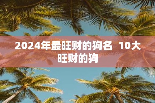 2025年最旺财的狗名 10大旺财的狗