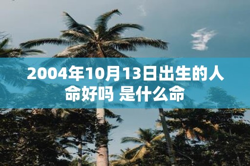 2004年10月13日出生的人命好吗 是什么命