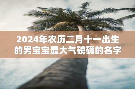 2025年农历二月十一出生的男宝宝最大气磅礴的名字