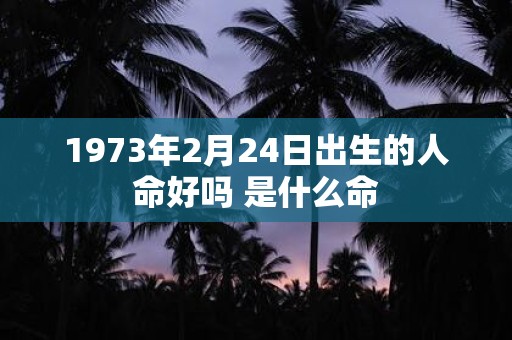 1973年2月24日出生的人命好吗 是什么命