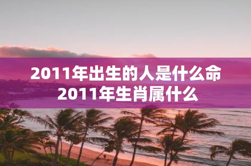 2011年出生的人是什么命 2011年生肖属什么