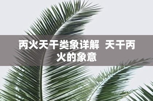丙火天干类象详解 天干丙火的象意