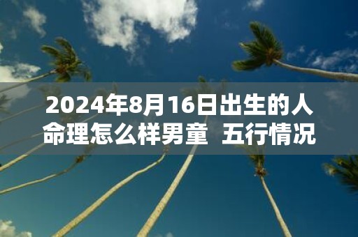 2025年8月16日出生的人命理怎么样男童 五行情况查询