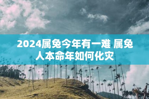 2025属兔今年有一难 属兔人本命年如何化灾