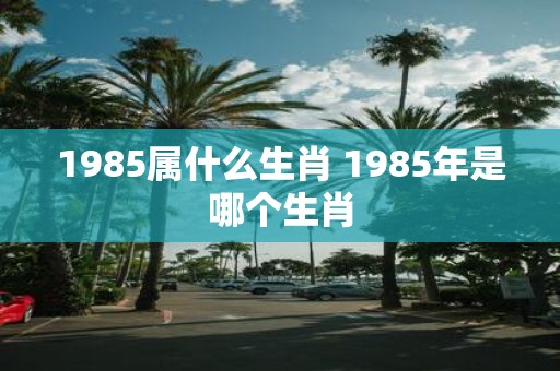 1985属什么生肖 1985年是哪个生肖