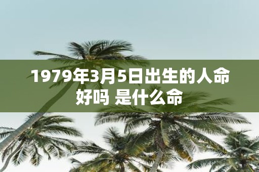 1979年3月5日出生的人命好吗 是什么命