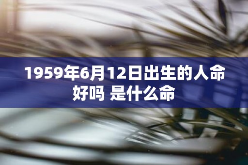 1959年6月12日出生的人命好吗 是什么命