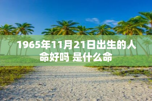 1965年11月21日出生的人命好吗 是什么命