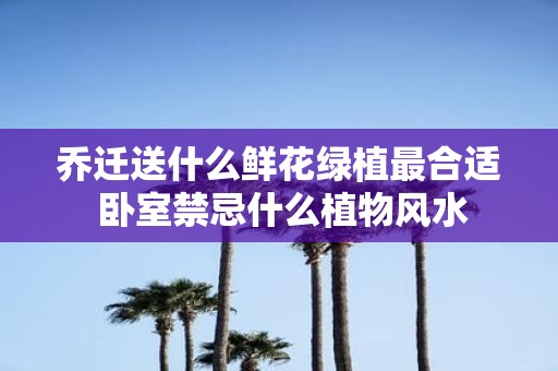 乔迁送什么鲜花绿植最合适 卧室禁忌什么植物风水
