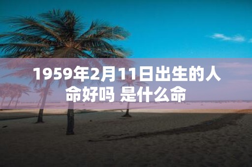 1959年2月11日出生的人命好吗 是什么命