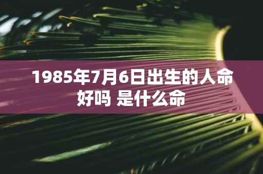 1985年7月6日出生的人命好吗 是什么命