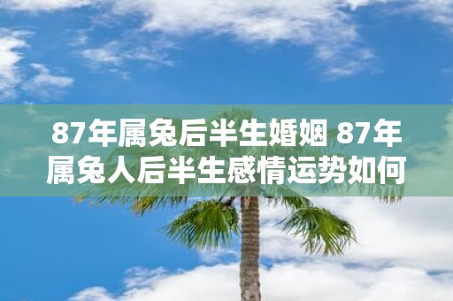 87年属兔后半生婚姻 87年属兔人后半生感情运势如何