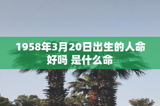 1958年3月20日出生的人命好吗 是什么命
