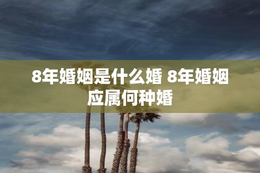8年婚姻是什么婚 8年婚姻应属何种婚