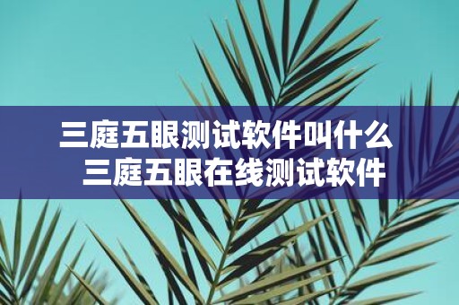 三庭五眼测试软件叫什么 三庭五眼在线测试软件