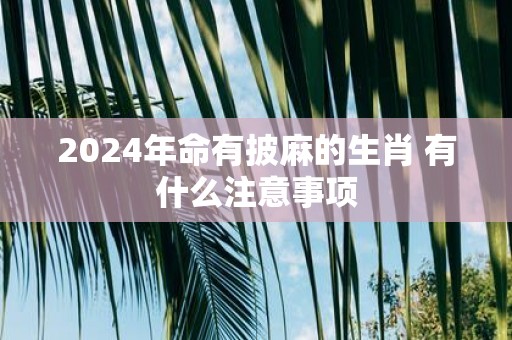 2025年命有披麻的生肖 有什么注意事项
