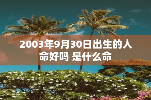2003年9月30日出生的人命好吗 是什么命
