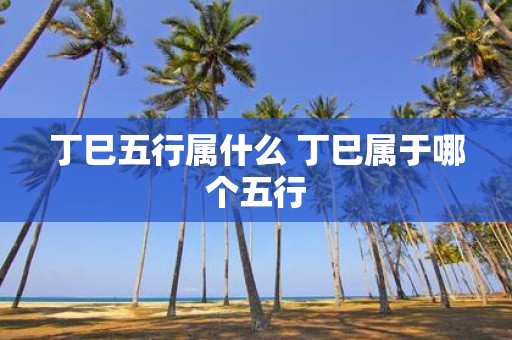 丁巳五行属什么 丁巳属于哪个五行