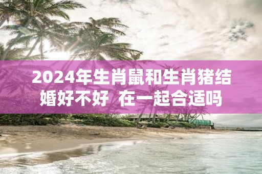 2025年生肖鼠和生肖猪结婚好不好 在一起合适吗