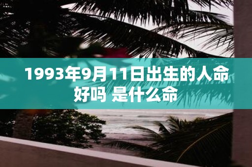 1993年9月11日出生的人命好吗 是什么命